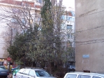 neco100_8053.jpg